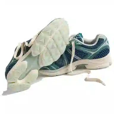 END x Saucony ProGrid Triumph 4 Nessie
