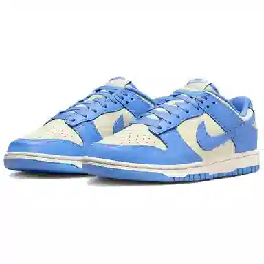 Nike Dunk Low White Blue