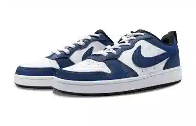 Nike Court Borough Low 2