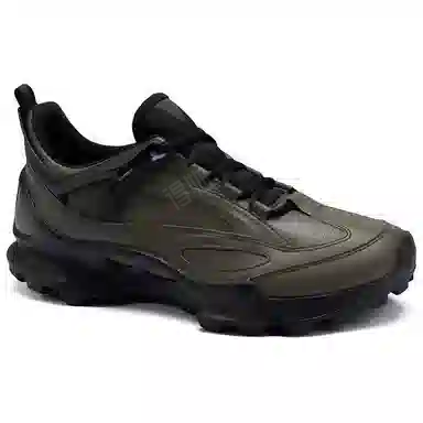 Ecco Biom C Trail