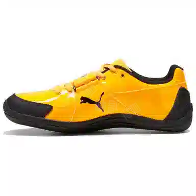 PUMA evoSPEED Throw 10.5