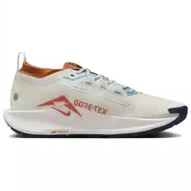 Nike Pegasus Trail 5 GORE-TEX