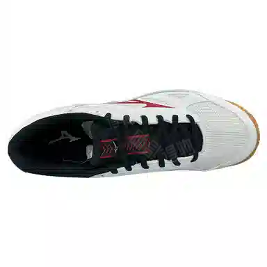 Mizuno