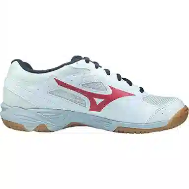 Mizuno