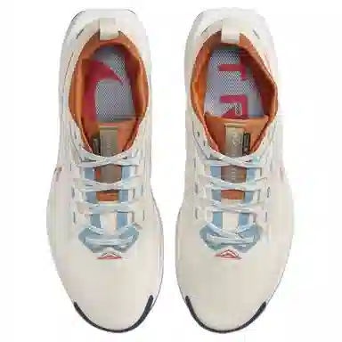 Nike Pegasus Trail 5 GORE-TEX