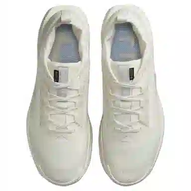 Nike Pegasus Trail 5 Beige