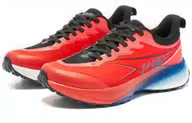 2TR PROHP-