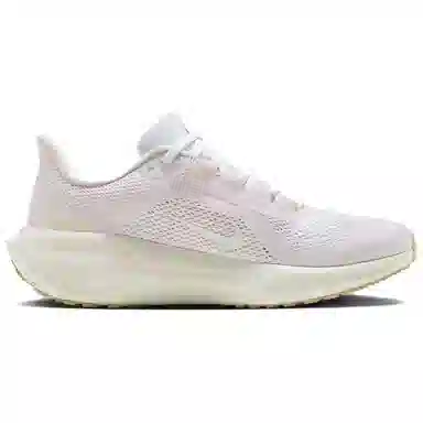 Nike Pegasus 41