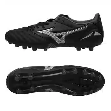 Mizuno