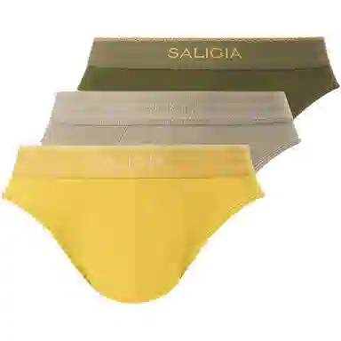 SALIGIA 140S 3
