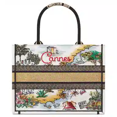 DIOR BookTote Tote