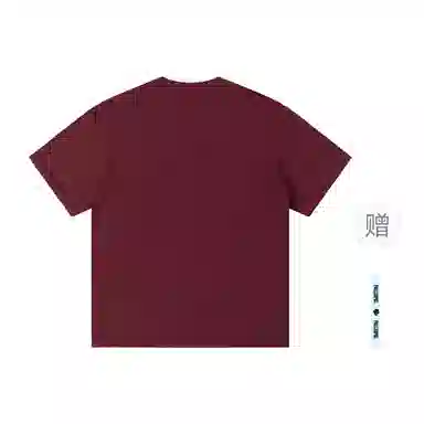 pallsupol T