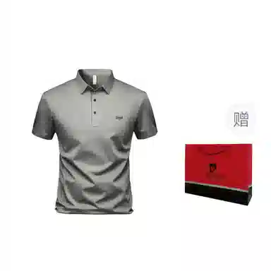 Pierre Cardin Polo Shirt