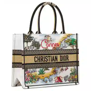 DIOR BookTote Tote