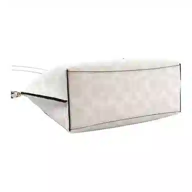 COACH Mollie 25 Tote