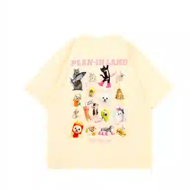 PLAN IN T