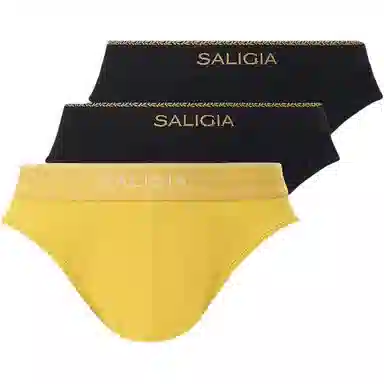 SALIGIA 140S 3