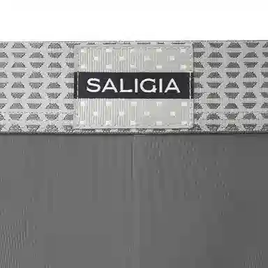 SALIGIA
