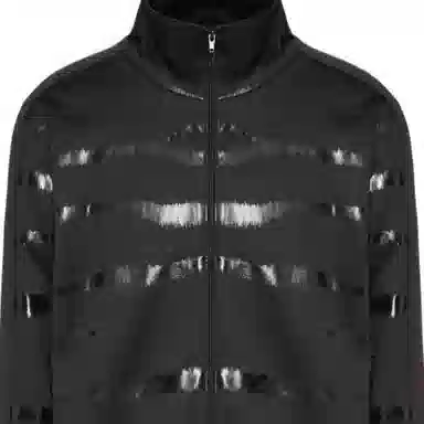 Valentino SS22 Tiger 1967