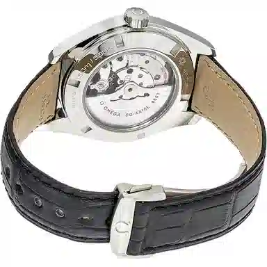 OMEGA Seamaster 231.13.43.22.06.001