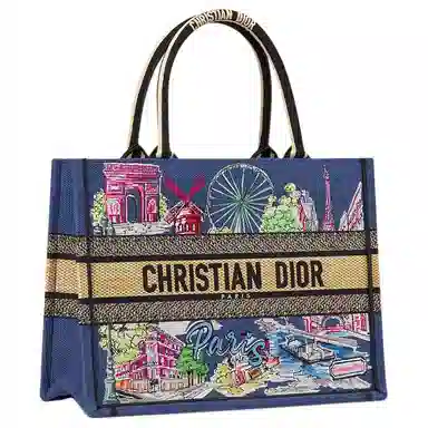 DIOR BookTote Tote