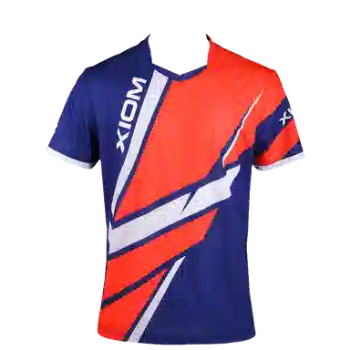 XIOM WinningPointsT101110121013