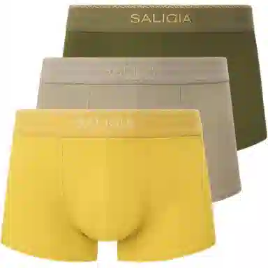 SALIGIA 140S 3