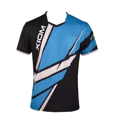 XIOM WinningPointsT101110121013