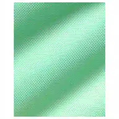 Nike Heritage 5L Mint