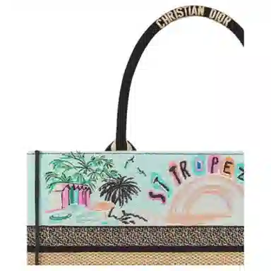 DIOR BookTote Tote