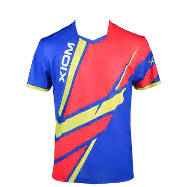 XIOM WinningPointsT101110121013