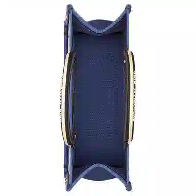 DIOR BookTote Tote