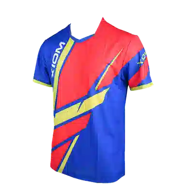 XIOM WinningPointsT101110121013