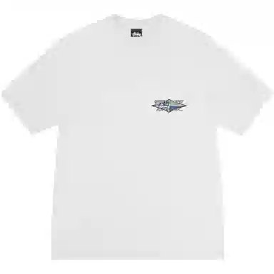 Stussy SS25 WORLDWIDE DIAMOND TEE PIGMENT DYED logoT