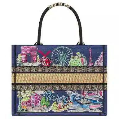 DIOR BookTote Tote