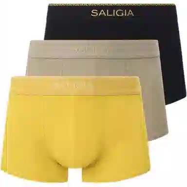 SALIGIA 140S 3
