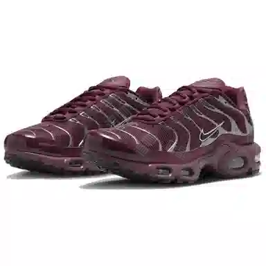 Nike Air Max Plus Brown