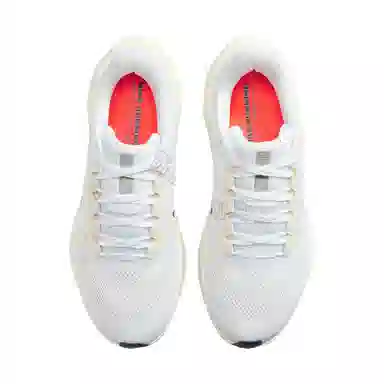 Nike Pegasus 41