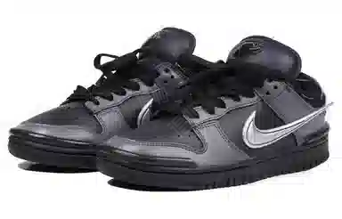 Nike Dunk ins