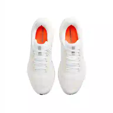 Nike Pegasus 41