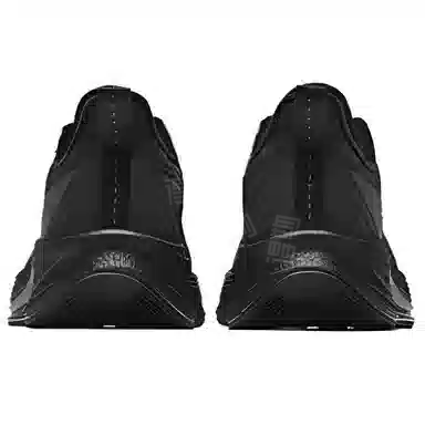 Anta 6