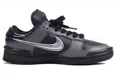 Nike Dunk ins