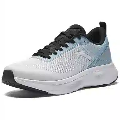 Anta