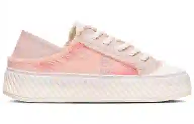 Dickies 100th Anniversary Pink Star