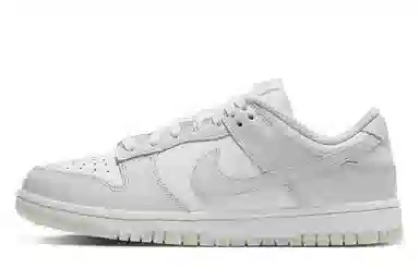 Nike Dunk FZBB