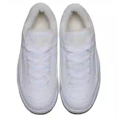 Jordan Air Jordan 2/3