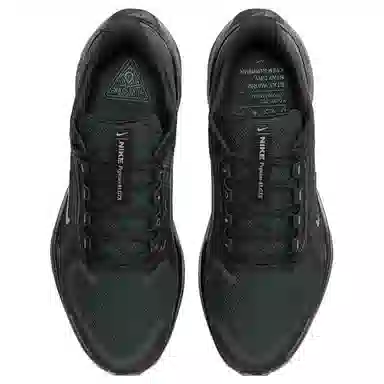 Nike Air Zoom Pegasus 41 GTX Black