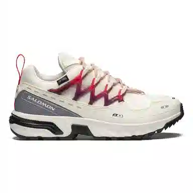 SALOMON ACS + CSWP