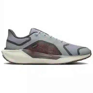 Nike Pegasus 41 GORE-TEX