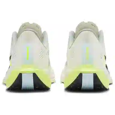 Nike Pegasus Plus